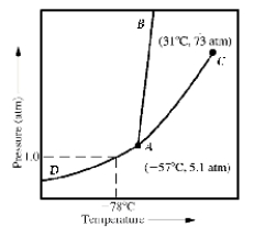 <strong>Given the accompanying phase diagram,under what conditions will liquid be found in equilibrium with either solid or gas? </strong> A) Anywhere along curve AB B) Anywhere along curve AC C) Anywhere along curve AD D) Anywhere along curve AB and AC E) Anywhere along curve AB and AD