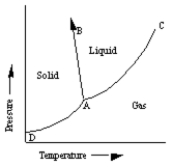A sketch of a phase diagram is given below. Which statement about this diagram is not true?