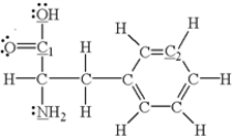 Which of the underlined atoms (C<sub>1</sub>,C<sub>2</sub>,N,and O)are sp<sup>2</sup> hybridized?