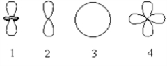 <strong>Which of the following orbital boundary surfaces represent d-orbitals? </strong> A) 1 only B) 3 only C) 2 only D) 1 and 2 E) 1 and 4