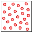 <strong>What kind of change is depicted below? </strong> A) no change B) chemical change C) both chemical and physical change D) physical change