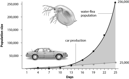 <strong>Refer to the figure below, and then answer the question that follows. What does the graph of Daphnia population growth suggest about this species?</strong> A) The slow start suggests long generation time and a K-selected species. B) The J-curve suggests short generation time and an r-selected species. C) The straight line suggests a changing carrying capacity. D) The high numbers suggest arithmetic increase.