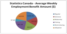 <strong>Statistics Canada report 2010 results in the following chart. Is the data quantitative or qualitative? What is the name of the table shown?</strong> A) quantitative, simple table B) quantitative, pie chart C) qualitative, frequency table D) qualitative, pie chart E) quantitative, bar chart