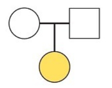 <strong>In the following pedigree, what does the colored circle indicate? </strong> A) an affected father B) an affected mother C) an affected daughter D) an affected son E) an affected cousin