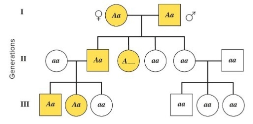 <strong>What pattern of inheritance is shown in the following pedigree? What is the probability that the affected son in generation III will pass the trait on to his children? </strong> A) autosomal recessive; 25% B) autosomal recessive; 50% C) autosomal dominant; 25% D) autosomal dominant; 50% E) autosomal dominant; 100%
