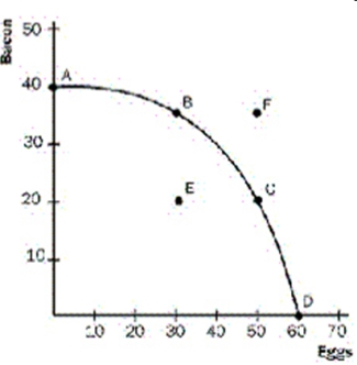 <strong>Exhibit 1 Refer to Exhibit 1. As we move from point A to point D,</strong> A) the opportunity cost of eggs in terms of bacon falls. B) the opportunity cost of eggs in terms of bacon rises. C) the opportunity cost of eggs in terms of bacon is constant. D) the economy becomes less efficient. E) the economy becomes more efficient.