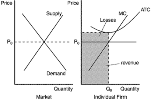The losses and revenues are identified on the individual firm's graph. Total cost is equal to the sum of the losses and revenue (because profit/loss=TR-TC, so TC=TR + profit/loss). The decision about whether this firm shuts down or remains in the market depends upon the position of average variable cost. If average variable cost is below P<sub>0</sub> at output level Q<sub>0</sub>, the firm will remain in the market. If average variable cost is above P<sub>0</sub> at output level Q<sub>0</sub> the firm will shut down in the short run.  