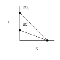 Figure 21-2 In each case, the budget constraint moves from BC<sub>1</sub> to BC<sub>2</sub>. Graph (a) Graph (b) Graph (c) Graph (d) -Refer to Figure 21-2. Which of the graphs in the figure could reflect a simultaneous decrease in the prices of both goods?