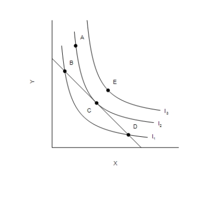 Figure 21-10 -Refer to Figure 21-10. Bundle B represents a point where