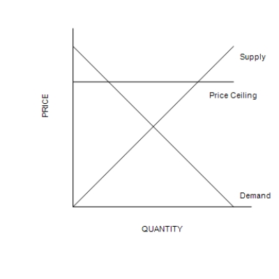 Figure 6-1 Graph (a) Graph (b) -Refer to Figure 6-1. A binding price ceiling is shown in
