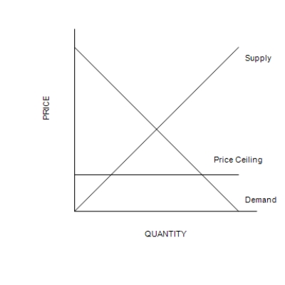 Figure 6-1 Graph (a) Graph (b) -Refer to Figure 6-1. A binding price ceiling is shown in