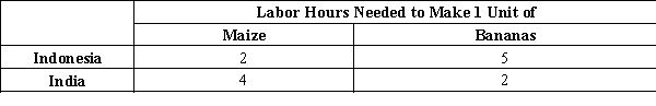 Table 3-12 Assume that Indonesia and India can switch between producing maize and bananas at a constant rate. -Refer to Table 3-12. India's opportunity cost of producing bananas is