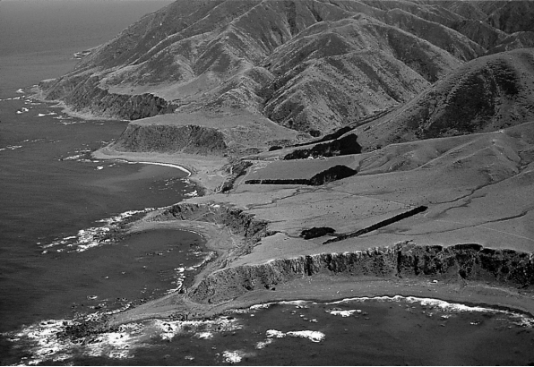 <strong>What process created the terrace that forms the cliff in the picture below? </strong> A) subsidence B) deposition C) uplift D) relief