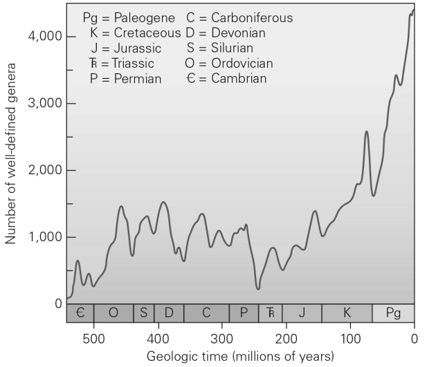 What is the term for the several times in the Earth's history when biodiversity (i.e.,number of genera)has rapidly decreased worldwide?
