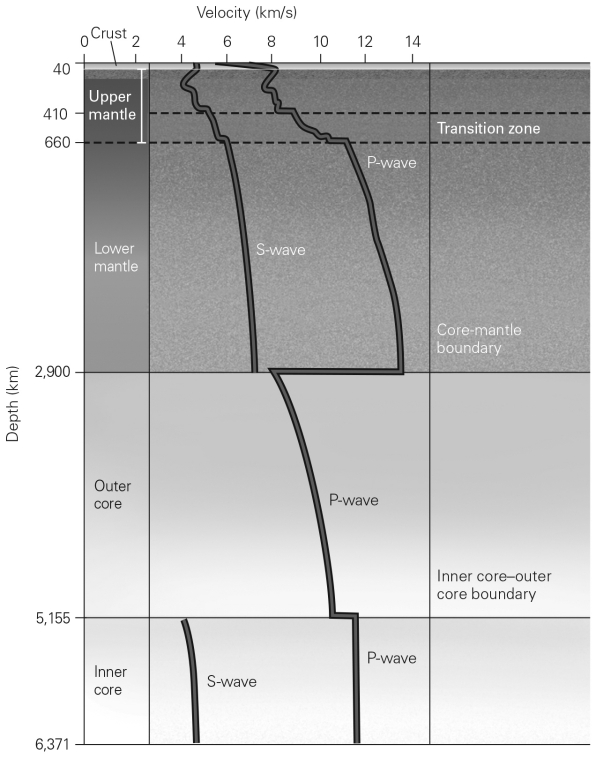 In the following graph,why does the line for S-waves NOT appear in the outer core?  