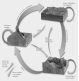 <strong>Which cycle in the Earth System is illustrated in the below figure? </strong> A) hydrologic cycle B) erosion cycle C) rock cycle D) carbon cycle