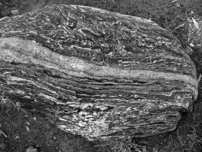 <strong>What do geologists call the layering seen in this photo of a metamorphic rock? </strong> A) bedding B) foliation C) grain size D) cleavage