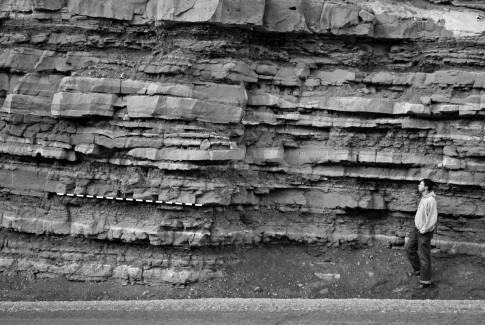 <strong>What do geologists call the layering seen in this photo of a sedimentary rock? </strong> A) bedding B) foliation C) grain size D) cleavage