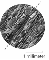 <strong>What characteristic of rocks is demonstrated by inequant mineral grains arranged with their long axes pointing in the same direction,as shown in the image below? </strong> A) grain size B) composition C) texture D) layering
