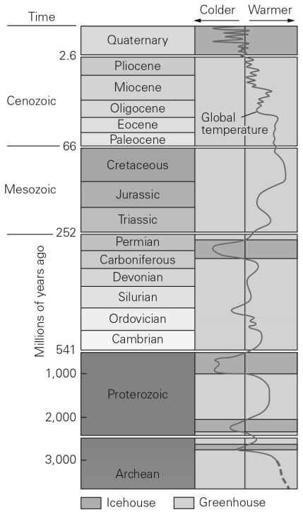 <strong>During most of the Mesozoic Era,the Earth was ________. </strong> A) about as warm as present B) cooler than present C) warmer than present D) experiencing wild temperature fluctuations
