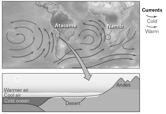 <strong>The figure below illustrates the formation of a ________. </strong> A) coastal desert B) subtropical desert C) rain-shadow desert D) continental-interior desert