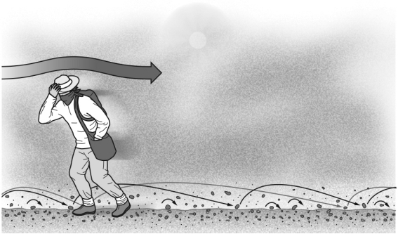 <strong>In the figure below,the sand grains are being transported by ________. </strong> A) suspension B) saltation C) surface creep D) deflation