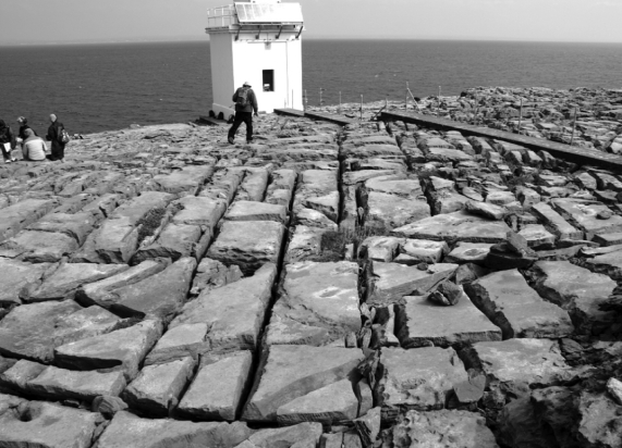 <strong>The wide and long fractures in this limestone cause it to have  </strong> A) a high water table. B) high permeability. C) a high recharge area. D) low hydraulic head. <div style=padding-top: 35px> 