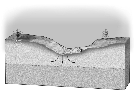 <strong>Which of the two figures below best shows the location of the water table expected in a dry climate?    </strong> A) A B) B C) both A and B could be in dry climates D) water table depth does not depend on climate <div style=padding-top: 35px> 