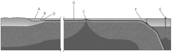 <strong>Using the figure below,which of the following lists correctly identifies the seafloor landforms G,C,and F?  </strong> A) G = abyssal plain,C = mid-ocean ridge,F = trench B) G = abyssal plain,C = continental rise,F = trench C) G = continental shelf,C = abyssal plain,F = continental rise D) G = abyssal plain,C = volcanic arc,F = trench <div style=padding-top: 35px> 