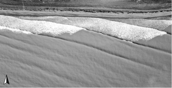 <strong>If a beach is in an east-west orientation and the waves are approaching the shore from the southwest,as shown in this figure,in which direction will the longshore current be moving?  </strong> A) to the south B) to the east C) to the southeast D) to the west <div style=padding-top: 35px> 