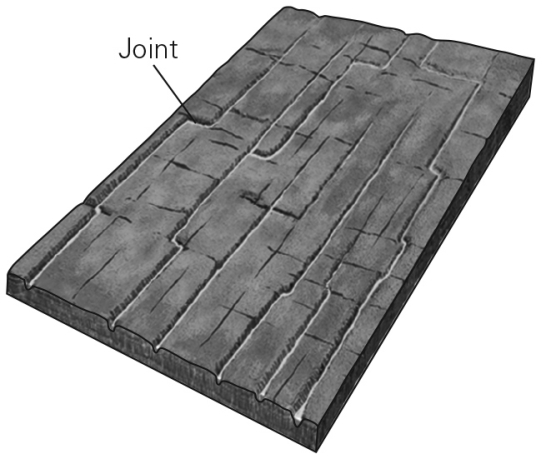 <strong>What kind of drainage network is likely to form in a landscape where the bedrock is broken by a regularly-spaced grid of joints and fractures?  </strong> A) dendritic B) radial C) rectangular D) trellis <div style=padding-top: 35px> 