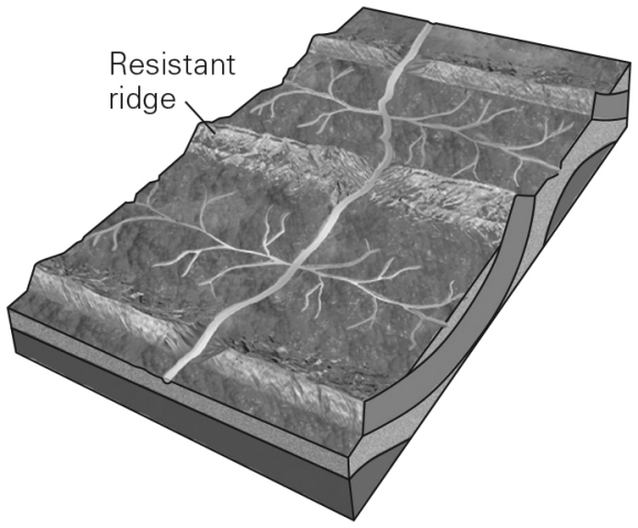 <strong>What kind of drainage network is likely to form in a landscape characterized by a parallel series of ridges and valleys?  </strong> A) dendritic B) radial C) rectangular D) trellis <div style=padding-top: 35px> 
