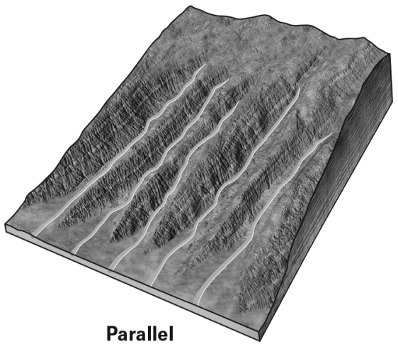<strong>A parallel drainage network such as the one shown below develops on a very steep slope.What type of geologic processes can be inferred from the presence of a parallel drainage network?  </strong> A) recent retreat of a glacier B) a dried-out lake bed C) recent uplift,such as along a fault D) seasonal flooding <div style=padding-top: 35px> 