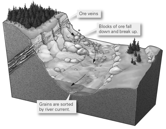 In the geologic setting shown in the picture,the dense minerals of the ore are concentrated in stream sediments after eroding,while less dense minerals are washed away.This is known as a  