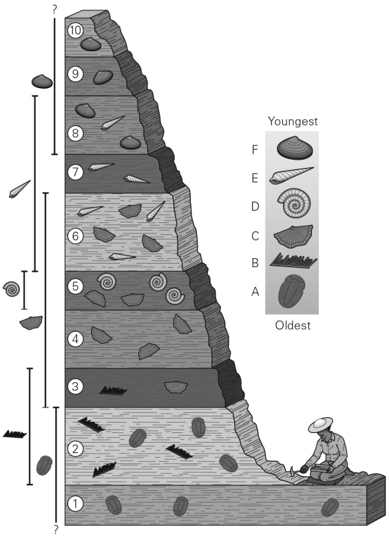 <strong>The oldest geologic unit is </strong> A) Layer 1. B) Layer 8. C) Layer 5. D) Layer 10.