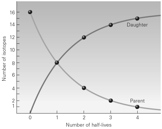 <strong>Referring to the graph below,after one half-life has passed,what is the ratio of parent isotopes to daughter isotopes? </strong> A) 16:0 B) 1:1 C) 1:3 D) 1:7