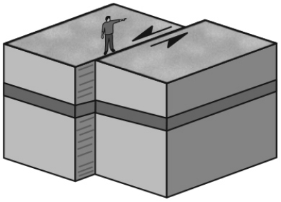 <strong>If you stand on one side of a strike-slip fault and the block on the other side of the fault has moved to your left,this is known as a(n)________.  </strong> A) oblique fault B) dip-slip fault C) right lateral fault D) left lateral fault <div style=padding-top: 35px> 