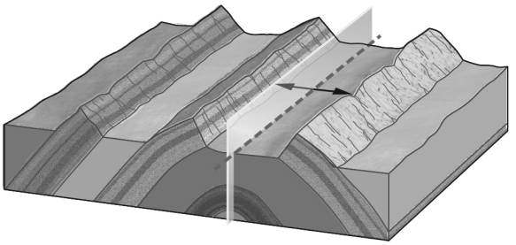 <strong>In the image below,the rocks have been bent into an elongate arch.This is an example of a(n)________.  </strong> A) anticline B) basin C) dome D) syncline <div style=padding-top: 35px> 