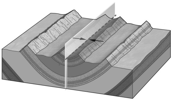<strong>In the image below,the rocks have been bent into an elongate trough.This is a(n)________.  </strong> A) anticline B) basin C) dome D) syncline <div style=padding-top: 35px> 
