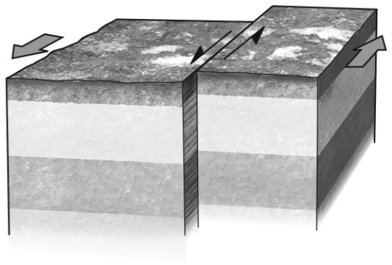 <strong>If a fault is nearly vertical in orientation and the two walls of rock on opposite sides slide past one another horizontally,the fault is termed a ________ fault.Refer to the figure below for an example of such a feature. </strong> A) normal B) reverse C) strike-slip D) thrust