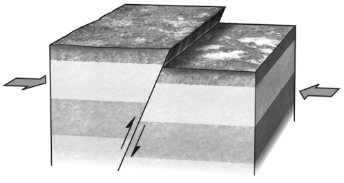 <strong>At any point along the surface of any nonvertical fault,as is shown in the figure below,the </strong> A) hanging wall lies vertically above the footwall. B) footwall lies vertically above the hanging wall. C) hanging wall lies to the left of the footwall. D) footwall lies to the left of the hanging wall.