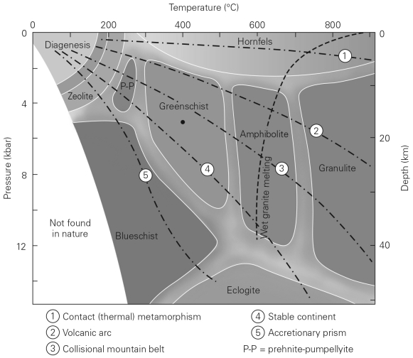 <strong>Consult the figure below.Compared with amphibolite metamorphic facies,the minerals in greenschist facies occur in </strong> A) lower-grade rocks. B) higher-grade rocks. C) partially melted rocks. D) the same grade but a different chemistry due to different protoliths.