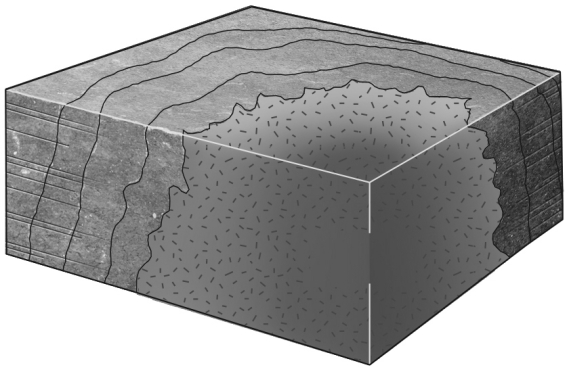 <strong>Consult the figure below.The region of thermally metamorphosed rock surrounding a cooled pluton is called a(n) </strong> A) shear zone. B) aureole. C) oriole. D) metamorphic ring.