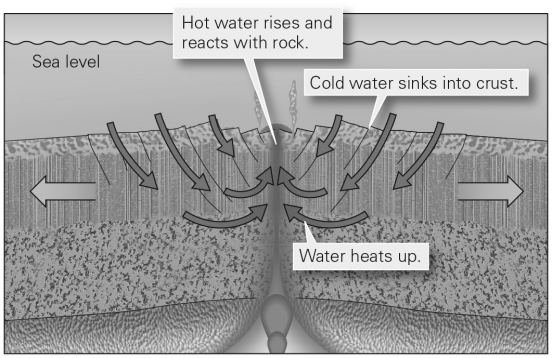<strong>Consult the figure below.Hot water reacting with the crust is the basis for what type of metamorphism? </strong> A) contact B) hydrothermal C) regional D) shock