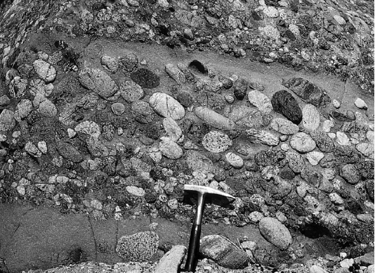 The image below shows an outcrop of coarse-grained sedimentary rock.Note the rock hammer for scale.What is the name of this rock type?