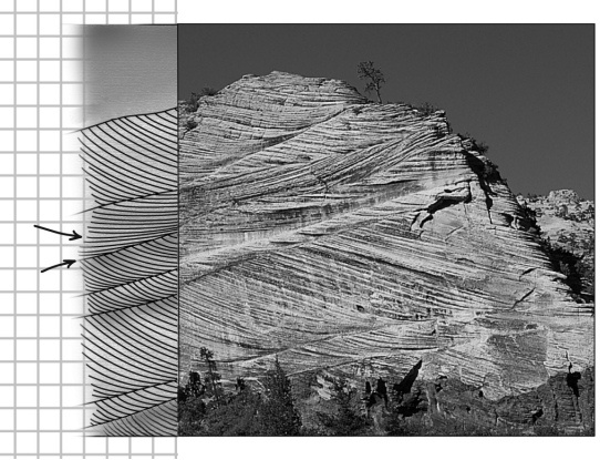 <strong>The image below shows ancient dunes exposed in Zion National Park in Utah.Using the interpreted portion of the image at the left,what was the dominant wind direction that formed these sedimentary structures? </strong> A) toward the right B) toward the left C) toward both the left and right D) vertical,both up and down