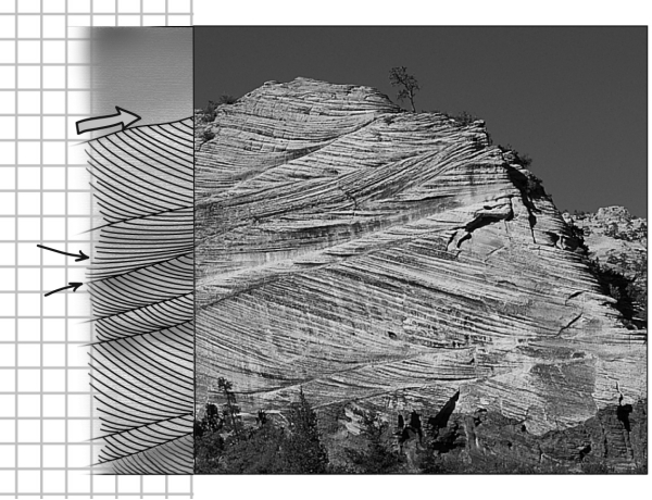 <strong>Consult the figure below.Here,distinct internal laminations are inclined at an angle to the boundary of the main sedimentary layers.These are termed </strong> A) graded beds. B) cross beds. C) horizontal beds. D) tilted beds.