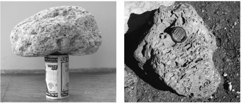 <strong>Pumice and scoria are examples of glassy igneous rocks that contain a lot of ______. </strong> A) vesicles B) phenocrysts C) volatiles D) xenoliths