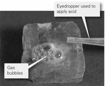 <strong>The image below shows a mineral with hydrochloric acid applied to it.Based on the reaction and presence of gas bubbles,which of the following minerals is the most likely to be _______? </strong> A) quartz B) halite C) calcite D) fluorite