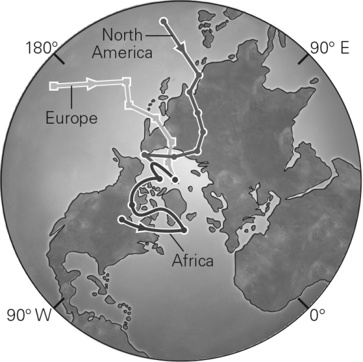 <strong>The discovery that each continent had different and separate apparent polar-wander paths,such as those in the figure below,proved that </strong> A) the continents move independently of each other relative to fixed magnetic poles. B) the magnetic poles move but the relative positions of continents to each other remain constant. C) both the poles and continents move,but only one at a time. D) both the poles and continents move,and do so together.